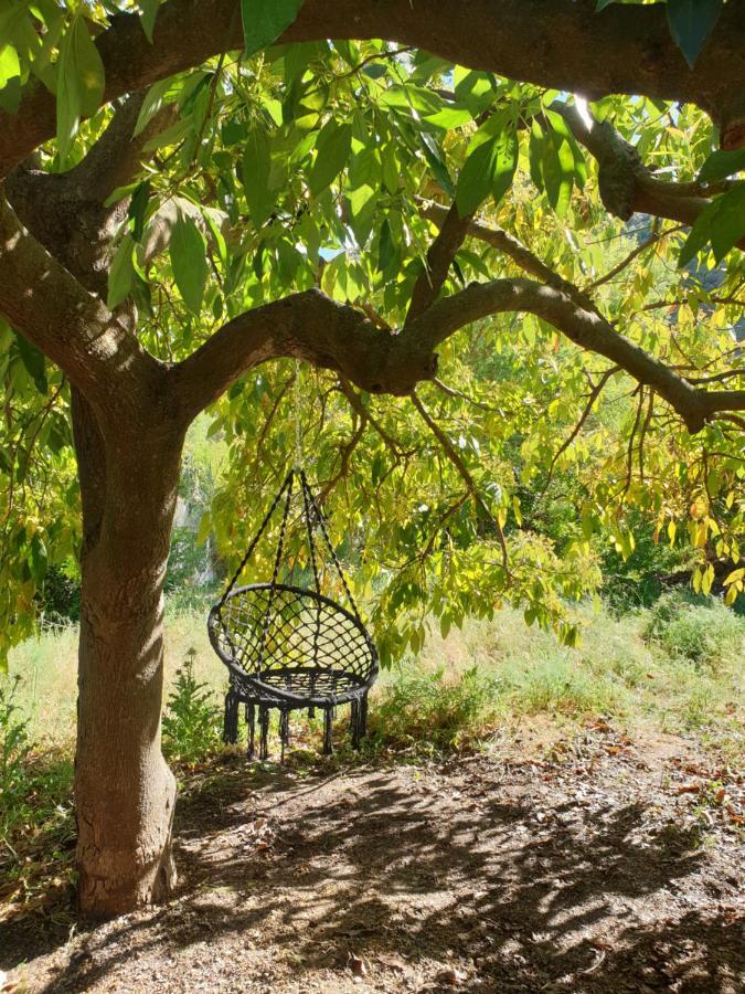 Vegan Guesthouse Finca Pereila 코인 외부 사진